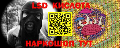 метадон Гатчина