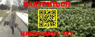 мдпв Гай