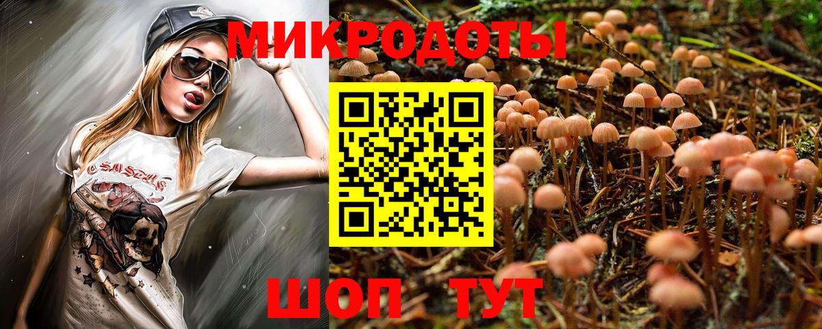 Галлюциногенные грибы прущие грибы Елец