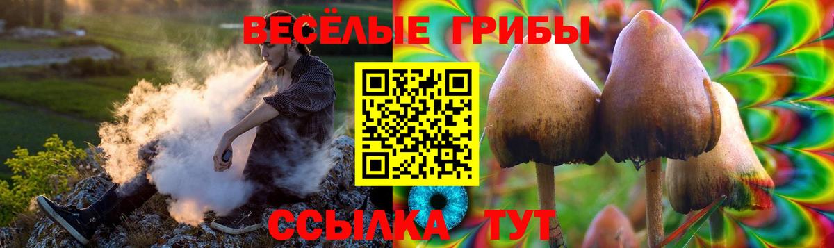 Елец  Псилоцибиновые грибы прущие грибы  Вход с VPN 